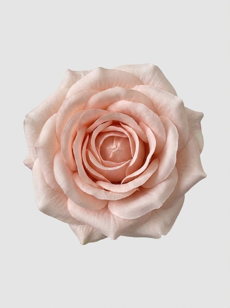 Champagne Ivory - close-up