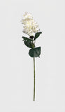 Real Touch Pointy Hydrangea Single Stem - White (edited)