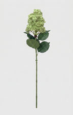 Real Touch Pointy Hydrangea Single Stem - Green (edited)