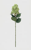 Real Touch Pointy Hydrangea Single Stem - Green (edited)