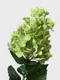 Real Touch Pointy Hydrangea Single Stem - Green (edited)