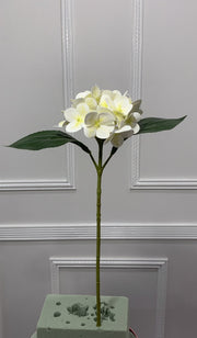 Small Real Touch Hydrangea Single Stem - Supplier Video