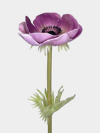 Real Touch Anemone Poppy Stem side view