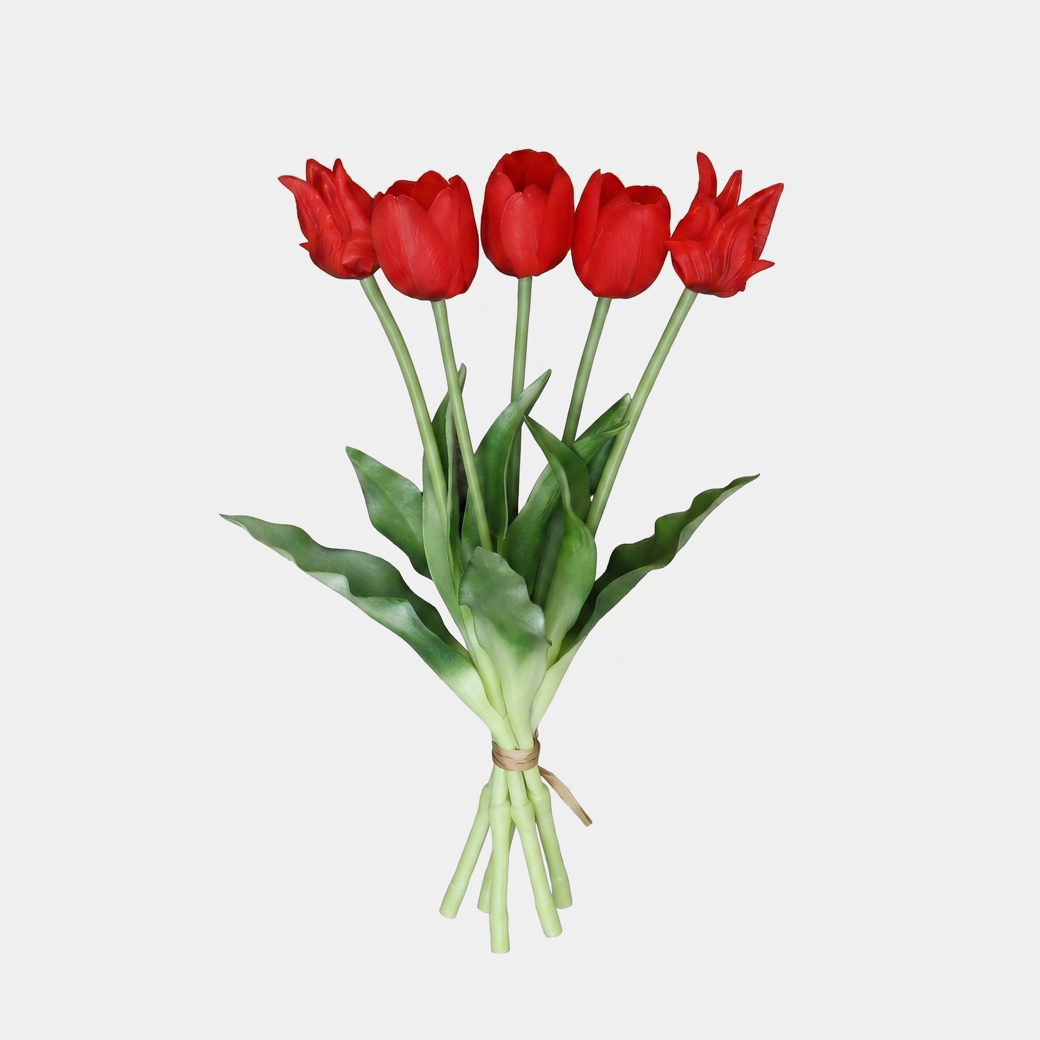 5 Stems Fork Tulip Bundle Secondary image