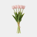 5 Fork Tulip Bundle - Shallow Powder (Studio)