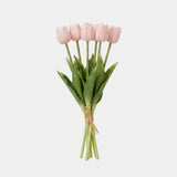 5 Fork Tulip Bundle - Shallow Powder (Studio)