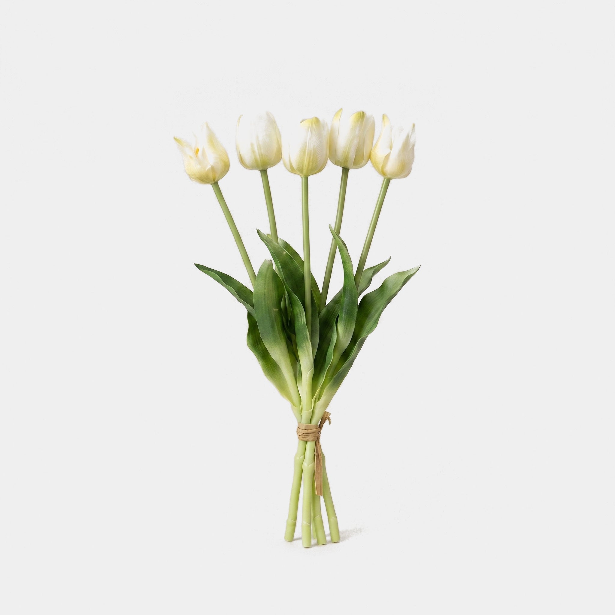 5 Fork Tulip Bundle - White (Studio)