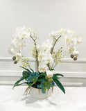 Luxury Real Touch White Phalaenopsis Orchid Arrangement in White Vase | French Table Centerpiece