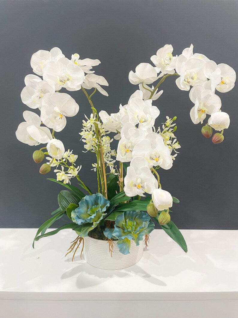 potted orchid plants wedding centerpieces Luxury Real Touch White Phalaenopsis Orchid Arrangement in White Vase – Flovery.com