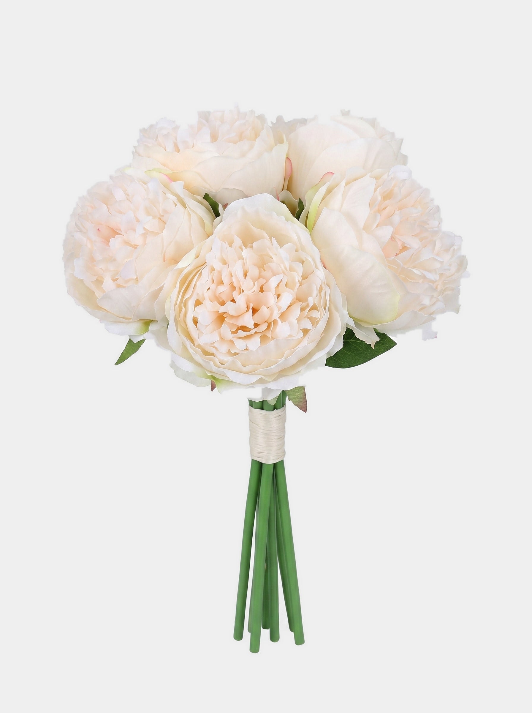 5 Stems Peony Bouquet - Cream - Studio