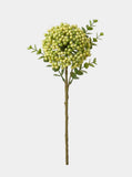 3 Berry Bundle - Green