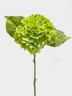 21-in Real Touch Hydrangea Stem - Dark Green 06 (Studio Gray)