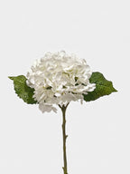 21-in Real Touch Hydrangea Stem - White 20 (Studio Gray)
