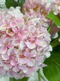 Pink Silk Hydrangea Faux Floral Arrangement in Clear Glass Cylinder Vase - alternate view