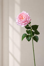 Light pink real touch Grace English rose stem