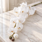 Lifelike white real touch orchid stem
