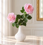 Two Grace English rose stems in a vase
