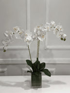 White orchid arrangement in glass vase