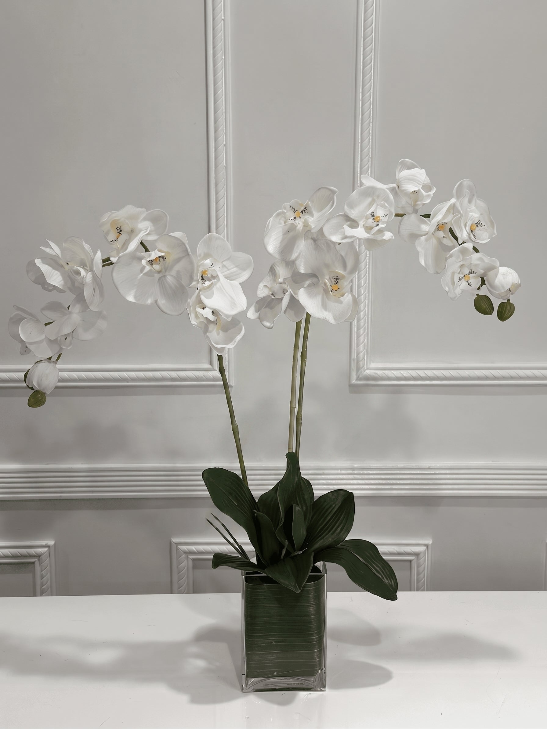 White orchid arrangement in glass vase
