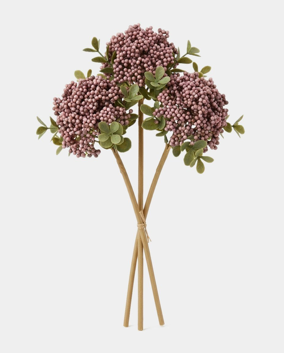 3 Berry Bundle Secondary image