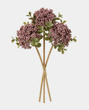 3 Berry Bundle - Purple