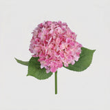 Large Premium Silk Hydrangea Single Stem - Dark Pink (edited)
