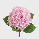 Large Premium Silk Hydrangea Single Stem - Pink (edited)