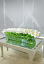 Modern Long Real Touch Tulip Arrangement in Glass Vase - Flovery