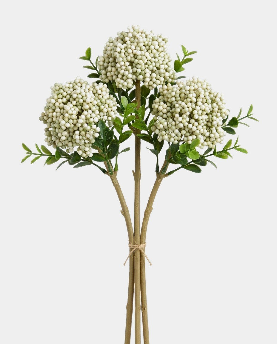 3 Berry Bundle - White