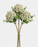 3 Berry Bundle - White