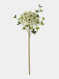 3 Berry Bundle - White