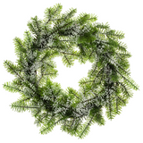 25" Iced Norway Spruce Wreath  Green White