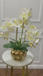 White Silk Orchid Arrangement w/ 3 Phalaenopsis Orchids in Gold Vase