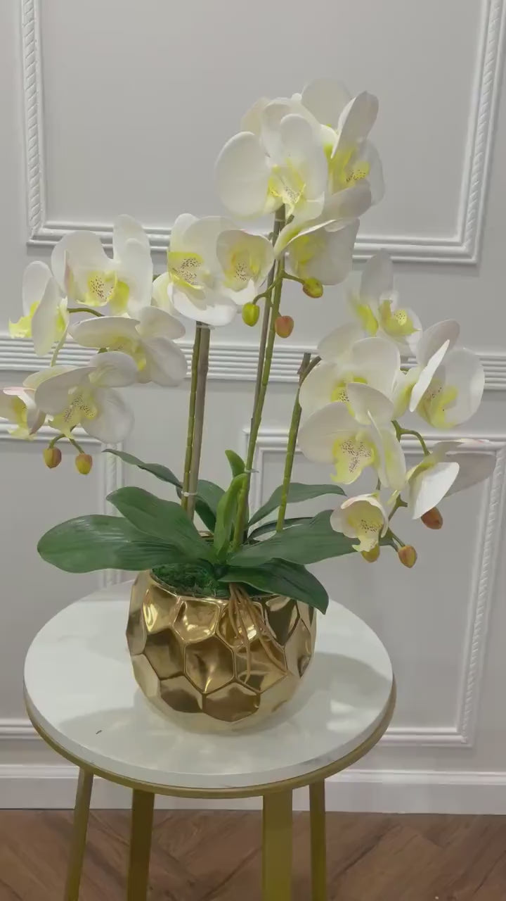 White Silk Orchid Arrangement w/ 3 Phalaenopsis Orchids in Gold Vase