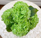 Tall French Hydrangea Flower Arrangement - Flovery