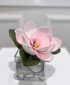 Single Premium Magnolia Elegant Arrangement in Square Vase