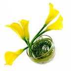 Real Touch White Calla Lily Round Glass Arrangement - Flovery