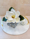 Single Real Touch Magnolia Arrangement in Square Vase - Flovery