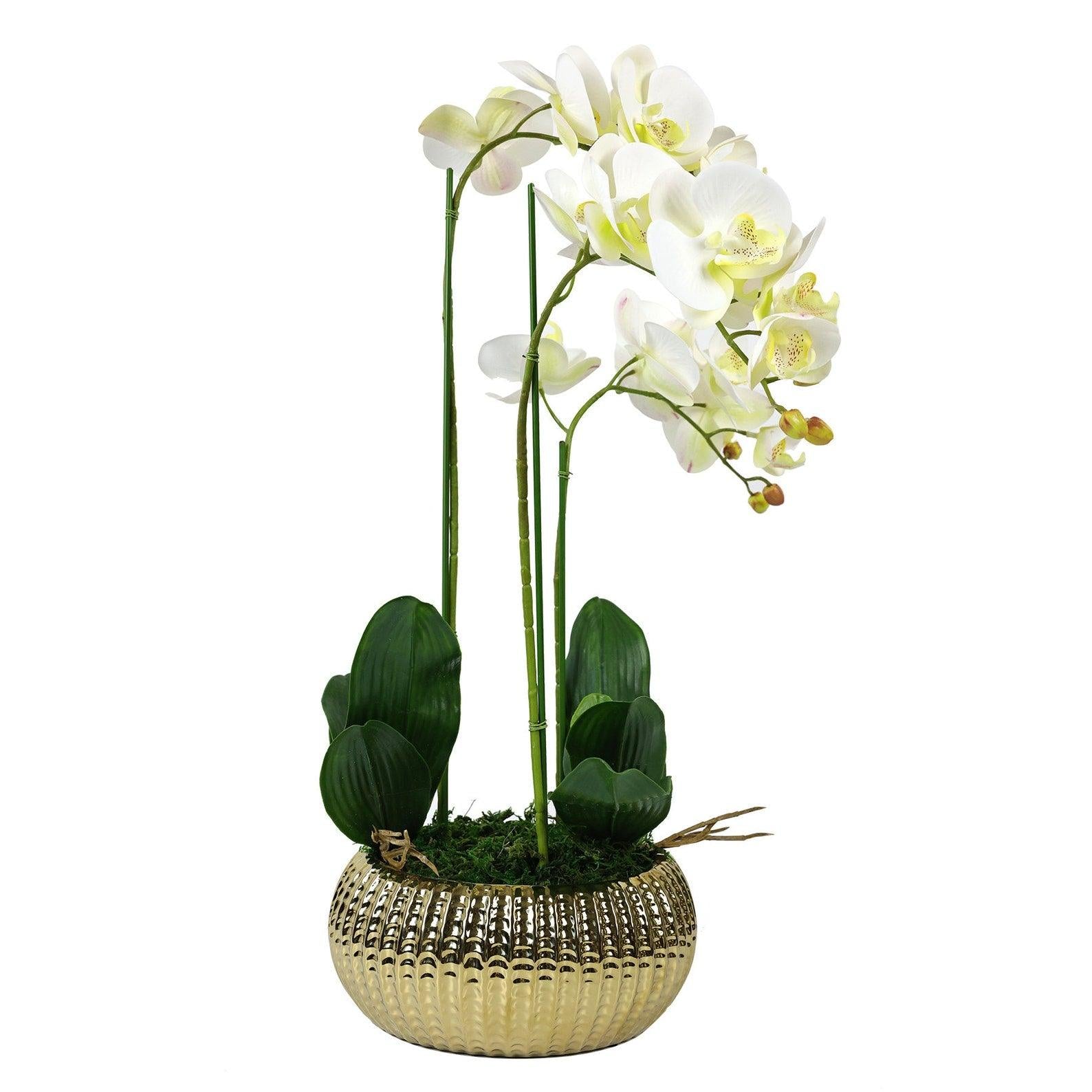 Artificial White Orchid Tall Arrangement Flat Gold Pot Secondary image