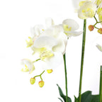 Tall Faux Orchid Arrangement Flat Gold Pot - Flovery