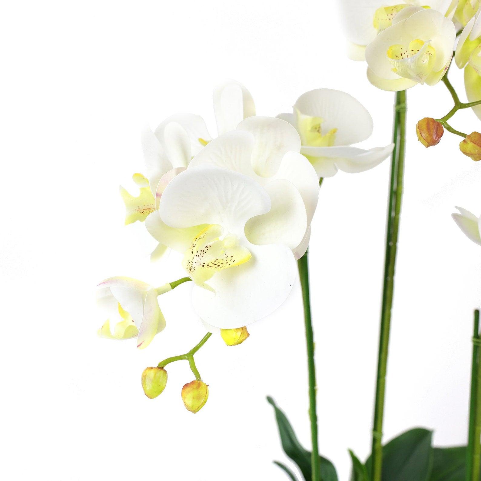Tall Faux Orchid Arrangement Flat Gold Pot - Flovery