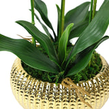 Tall Faux Orchid Arrangement Flat Gold Pot - Flovery