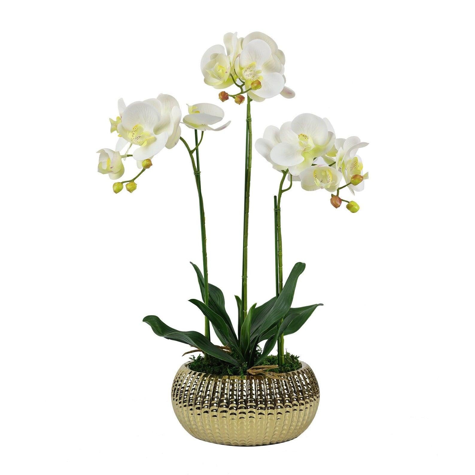 Tall Faux Orchid Arrangement Flat Gold Pot - Flovery
