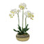 Tall Faux Orchid Arrangement Flat Gold Pot - Flovery