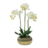 Tall Faux Orchid Arrangement Flat Gold Pot - Flovery