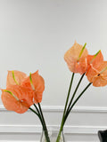27" Large Exclusive Real Touch Anthurium Arrangement - Flovery