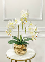 White Silk Orchid Arrangement w/ 3 Phalaenopsis Orchids in Gold Vase - Flovery