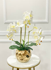 White Silk Orchid Arrangement w/ 3 Stems Phalaenopsis Orchids in Gold Vase