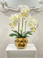 White Silk Orchid Arrangement w/ 3 Phalaenopsis Orchids in Gold Vase - Flovery