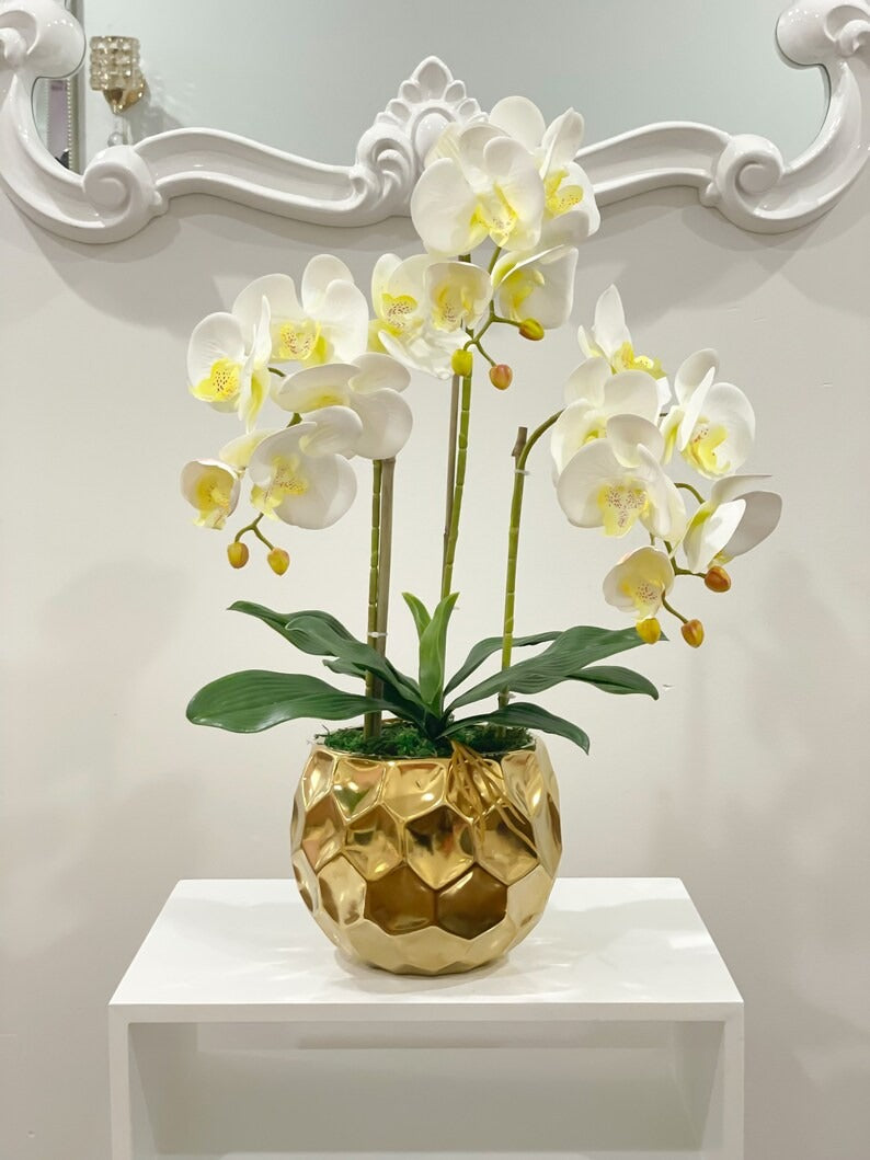 White Silk Orchid Arrangement w/ 3 Phalaenopsis Orchids in Gold Vase - Flovery